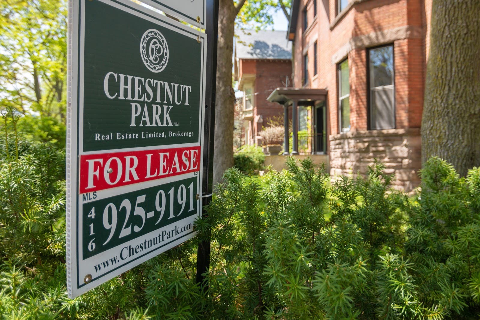 CHESTNUT PARK REAL ESTATE LIMITED, BROKERAGE